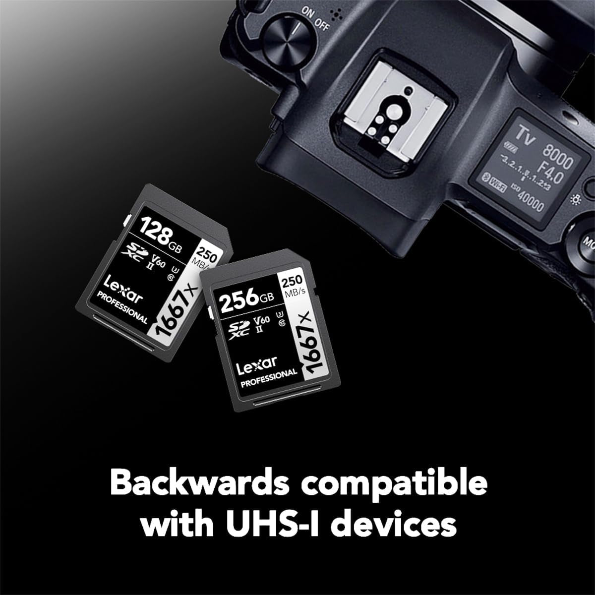 512GB Professional 1066X SD Card, UHS-I, C10, U3, V30, Full HD, 4K, up to 160Mb/S Read SDXC Memory Card, for DSLR & Mirrorless Cameras (LSD1066512G-BNNNU)